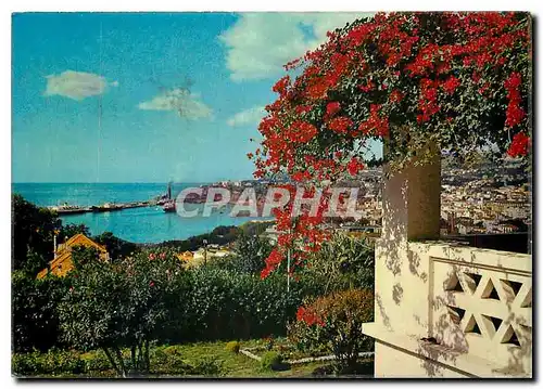 Cartes postales moderne Madeira Coup d'oeil sur la ville et le port de Funchal