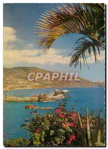 Cartes postales moderne Madeira Baia do Funchal