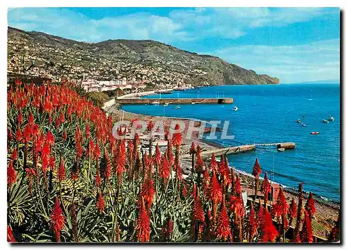 Cartes postales moderne Funchal Madeira Vista leste