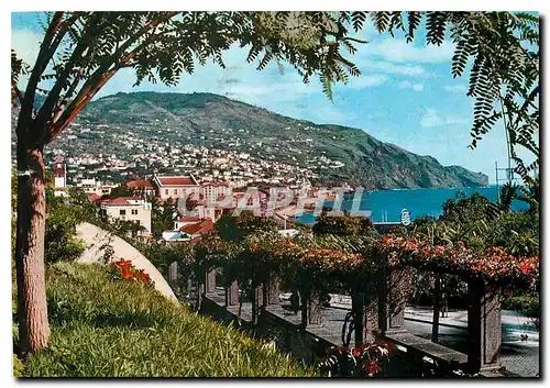 Cartes postales moderne Funchal Madeira Vista Leste
