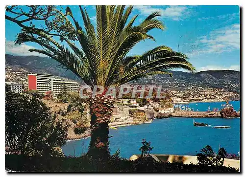 Cartes postales moderne Madeira Hotel Savoy