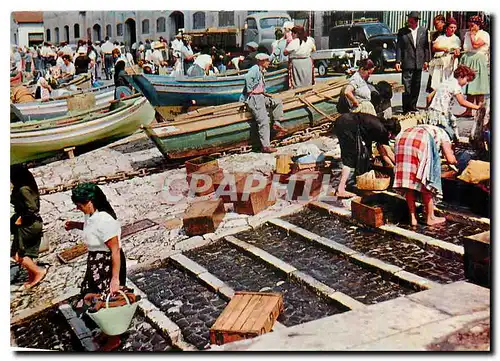 Moderne Karte Lisboa Portugal Faina na lota Ribeira