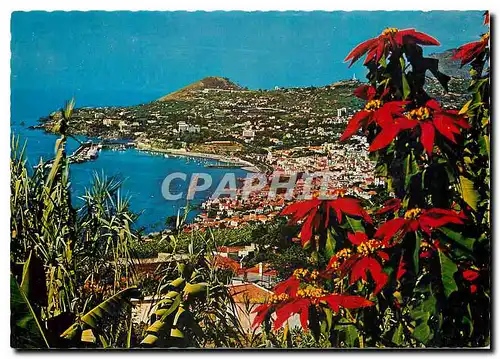 Cartes postales moderne Funchal Madeira Vista Oeste
