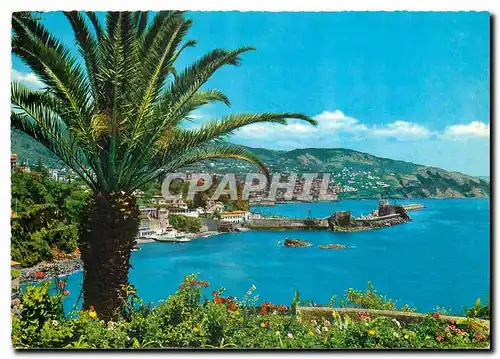 Cartes postales moderne Madeira Funchal Vista Leste