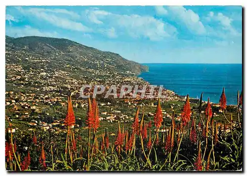 Cartes postales moderne Funcahal Madeira Pico dos Barcelos