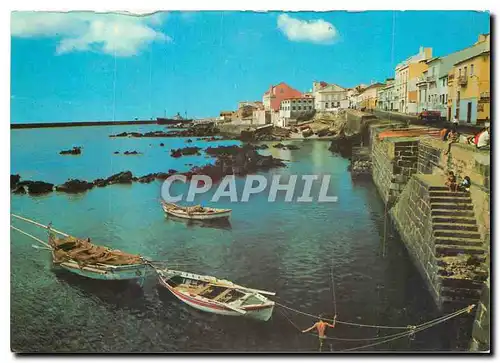 Cartes postales moderne S Miguel Acores Ponta Delgada