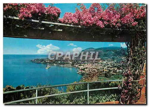Cartes postales moderne Madeira Vue Occidentale