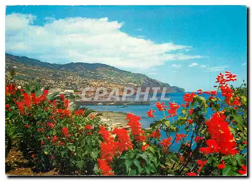 Moderne Karte Madeira Vista du Funchal