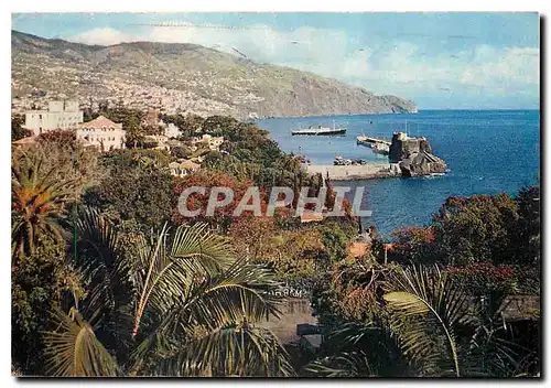Cartes postales moderne View of Funchal Bay from the Miramar Hotel Madeira