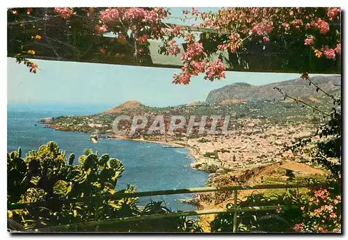 Cartes postales moderne Vista do Pinaco Funchal Madeira