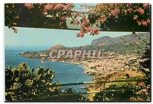 Cartes postales moderne Vista do Pinaco Funchal Madeira