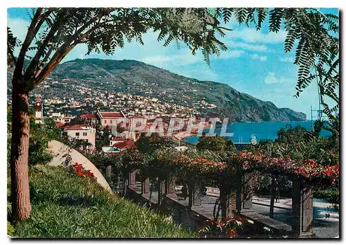 Cartes postales moderne Funchal Madeira Vue Orientale