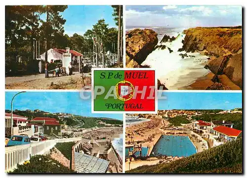 Cartes postales moderne S Pedro de Muel Portugal Aspectos locais