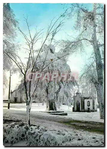 Cartes postales moderne Trancoso Portugal Entree de la ville