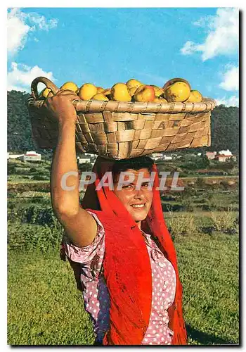 Cartes postales moderne Portugal Marchande de Fruits