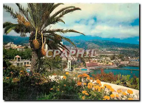 Cartes postales moderne Funchal Madeira Vue orientale