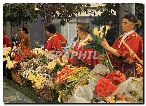 Cartes postales moderne Madeira Floristas