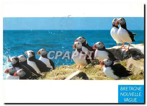 Cartes postales moderne Bretagne Nouvelle Vague