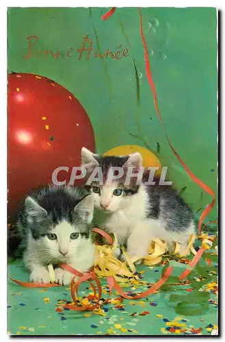 Cartes postales moderne Bonne Annee