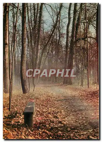 Cartes postales moderne Spasskoje Loutovinovo L'Allee transversale