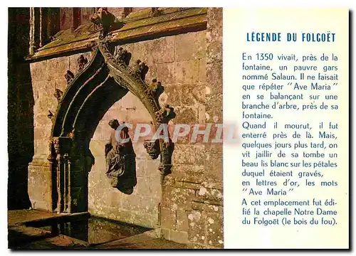 Cartes postales moderne Notre Dame de Folgoet La fontaine sacree