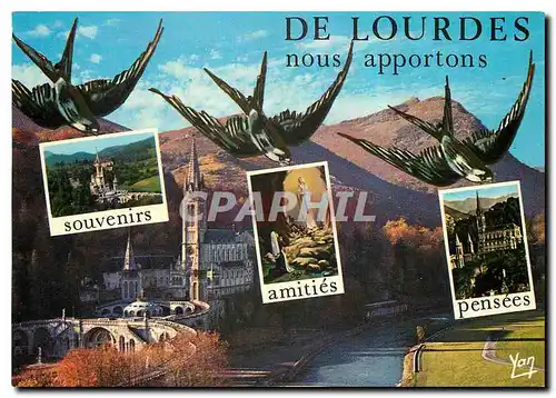 Cartes postales moderne Souvenir de Lourdes