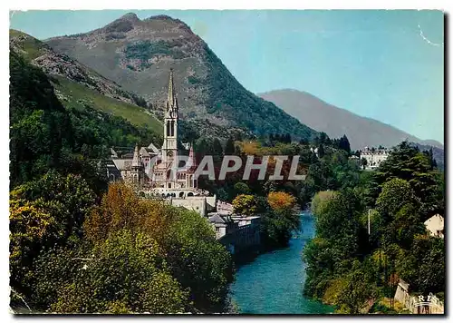 Cartes postales moderne Lourdes La Basilique et le Gave