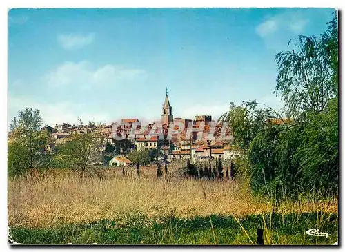 Cartes postales moderne Frejus Var Vue generale