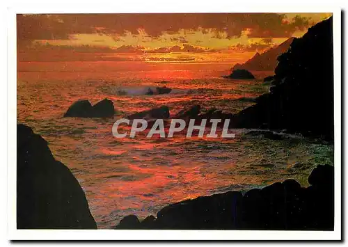 Cartes postales moderne La Mediterranee Coucher de soleil