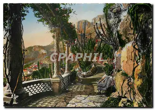 Cartes postales moderne Monaco Le Jardin Exotique