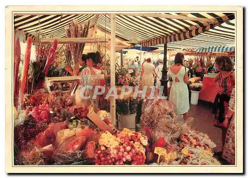 Cartes postales moderne Nice Le Marche aux ileurs