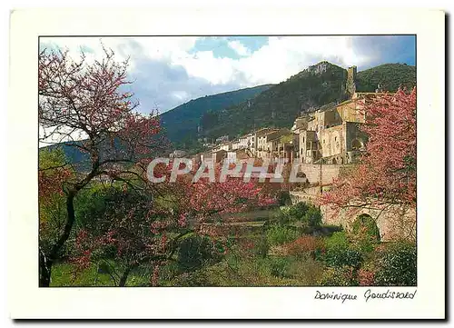 Cartes postales moderne Dominique Goudissord Provence