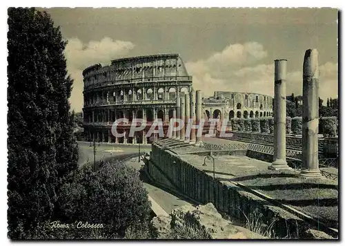 Moderne Karte Roma Flavios Amphiteatre or Colloseum
