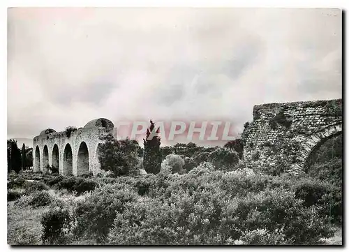 Cartes postales moderne Frejus Var Aqueduc romain