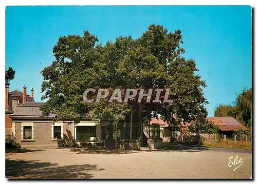 Cartes postales moderne St Vincent de Paul La Chene de Saint Vincent de Paul