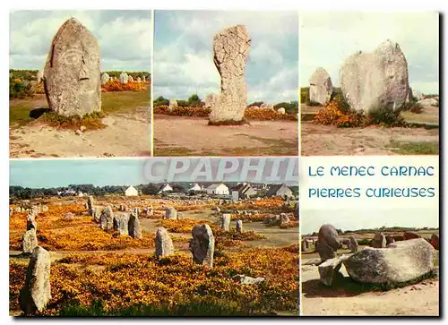 Cartes postales moderne Alignements de Carnac Le Menec
