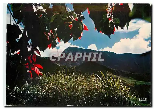 Cartes postales moderne Reunion Les Hautes de l'Ile