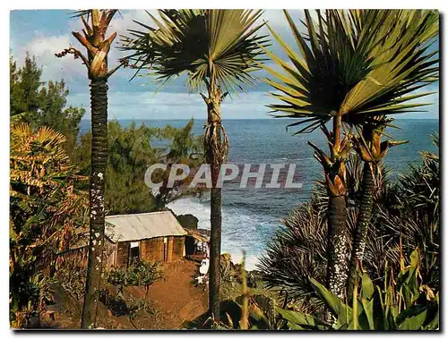 Cartes postales moderne La Reunion Region de Saint Pierre Langevin