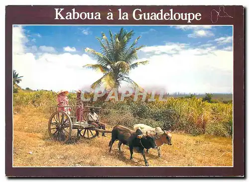 Cartes postales moderne Guadeloupe Kaboua charette de Guadeloupe