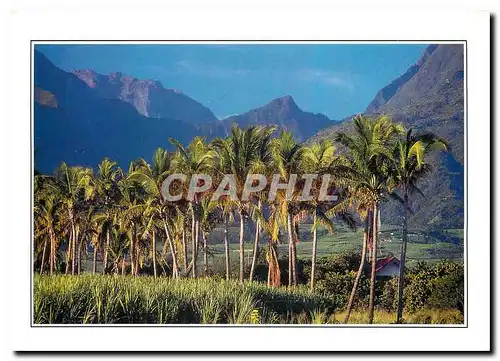Cartes postales moderne Couleurs de la Reunion