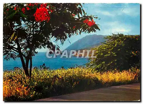Cartes postales moderne Guadeloupe Cote sous le vent