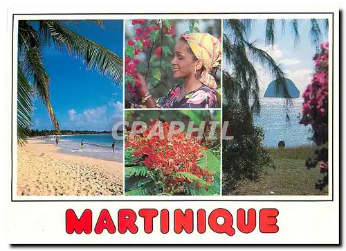 Cartes postales moderne Martinique Il etait une fois la Martinique