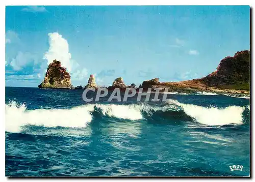 Cartes postales moderne Guadeloupe La pointe des Chateaux