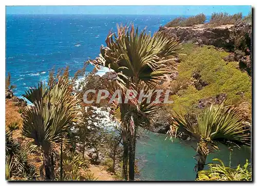 Cartes postales moderne Ile de la Reunion Sainte Rose La tres belle region cotiere