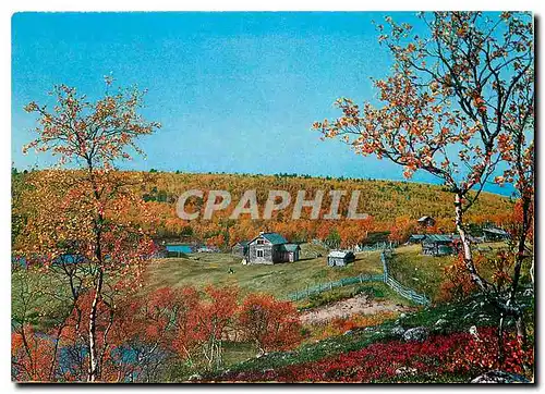 Cartes postales moderne Finnish Lapland Autumn colours
