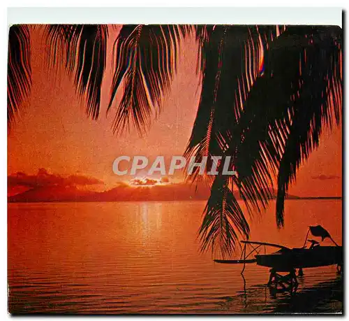 Cartes postales moderne Tahiti Moorea Coucher de soleil sur Moorea
