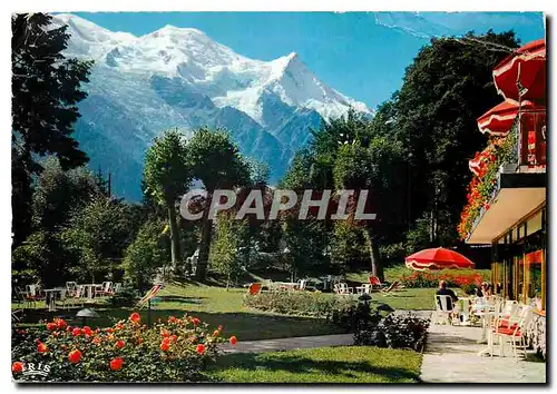 Cartes postales moderne Chamonix Mont Blanc Vue prise depuis le Parc de l'Hotel Mont Blanc