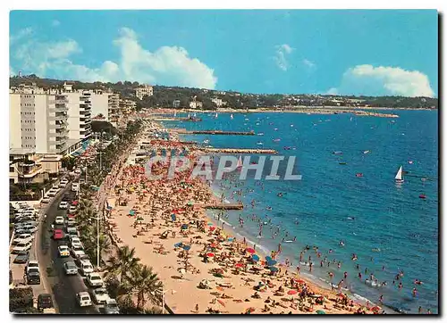 Cartes postales moderne Juan les Pins La Promenade du Soleil Vue generale