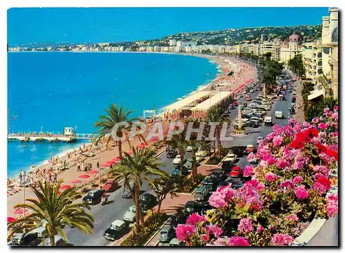 Cartes postales moderne Nice Cote d'Azur French Riviera La Promenade des Anglais