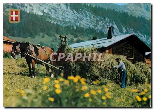 Cartes postales moderne Fenaison en montagne